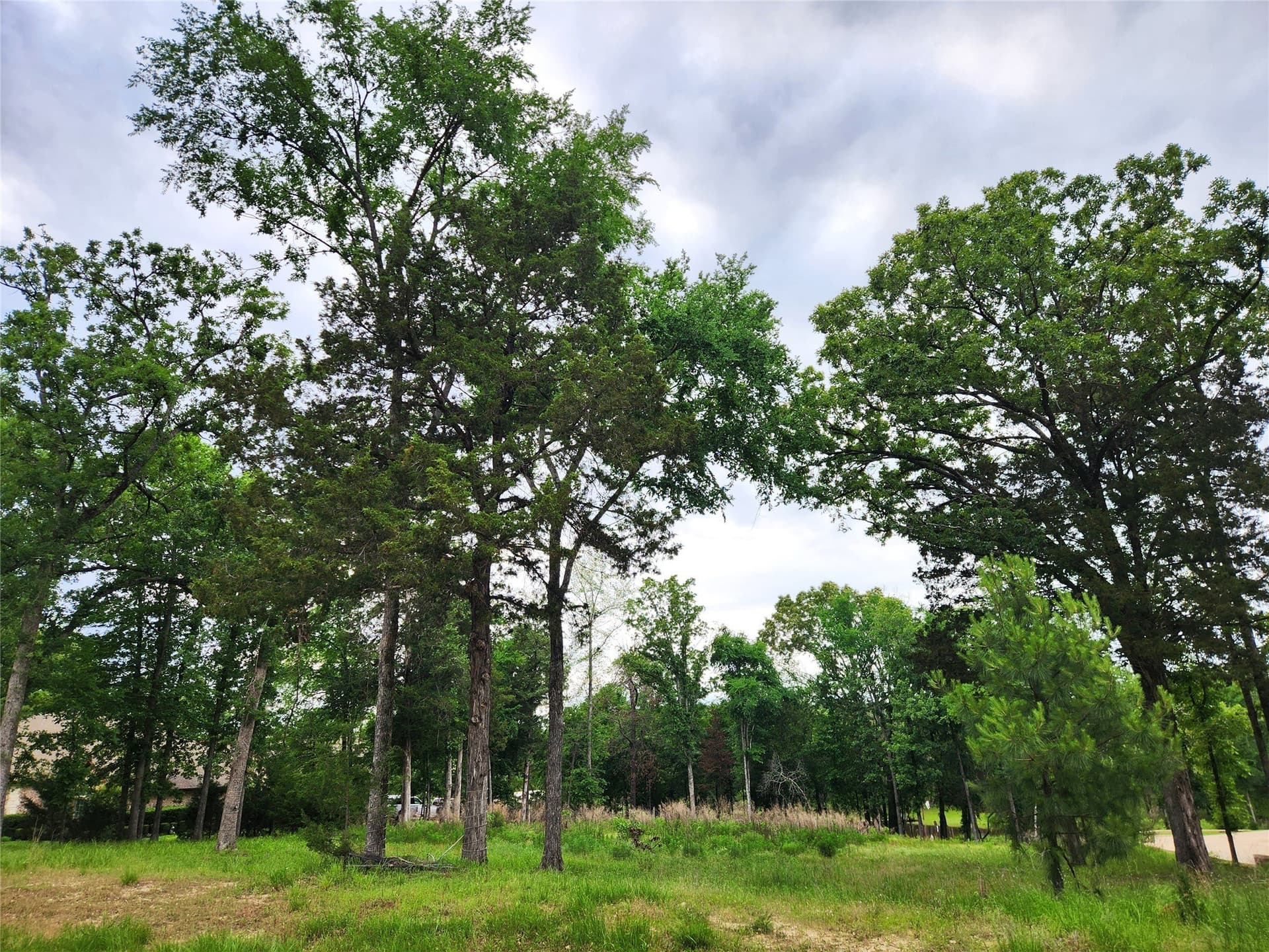 1.07 acres in Henderson County - photo 4