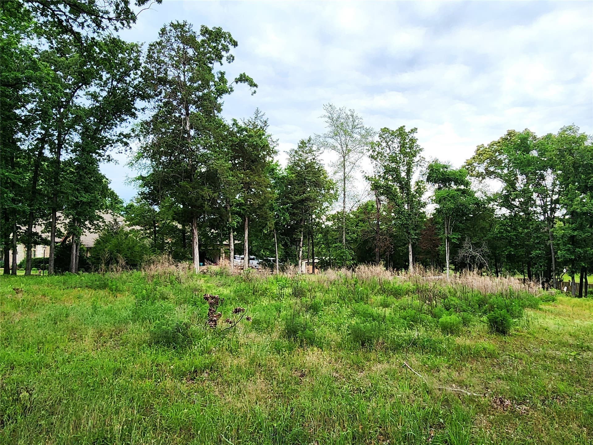 1.07 acres in Henderson County - photo 12