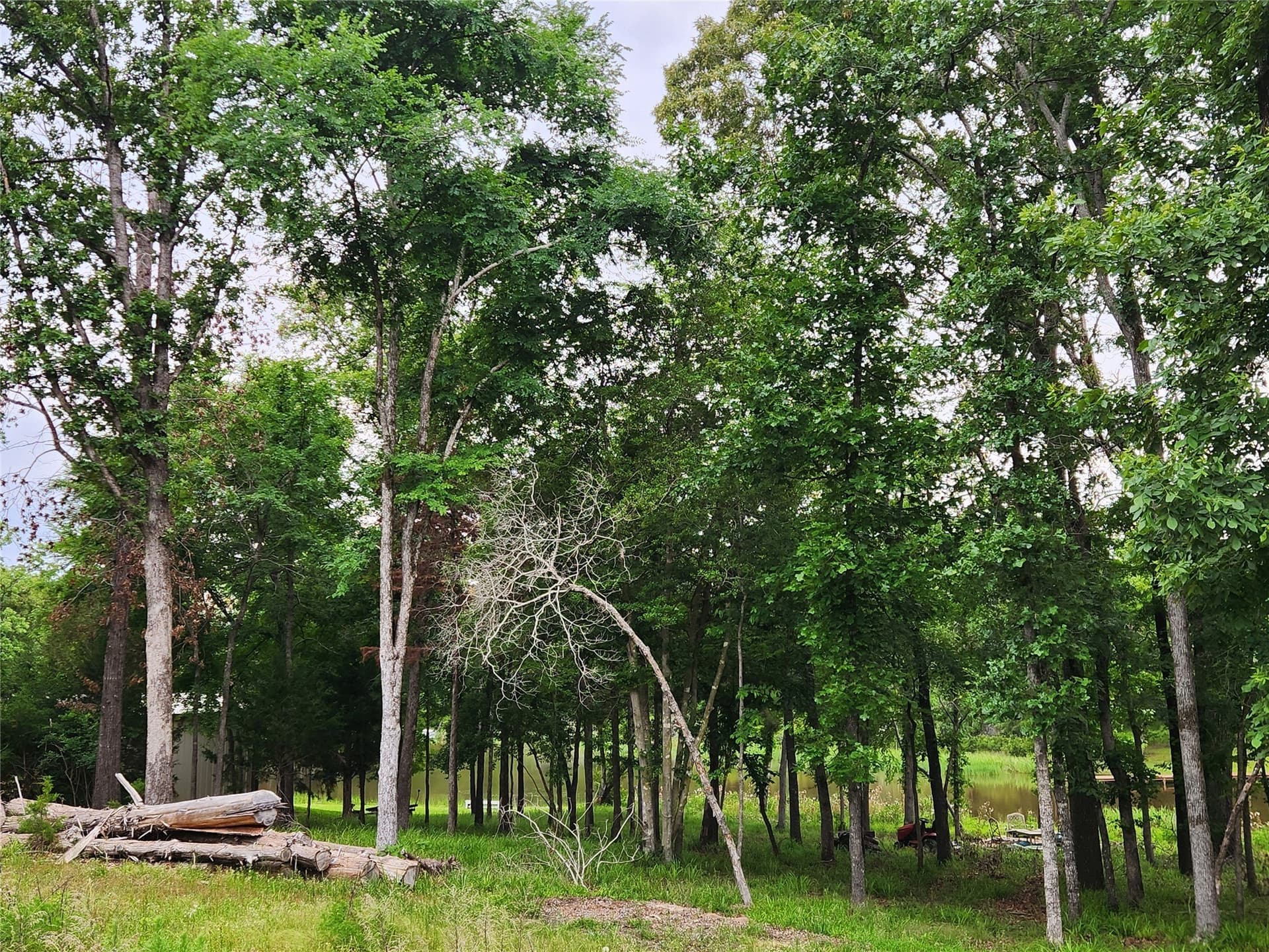 1.07 acres in Henderson County - photo 19