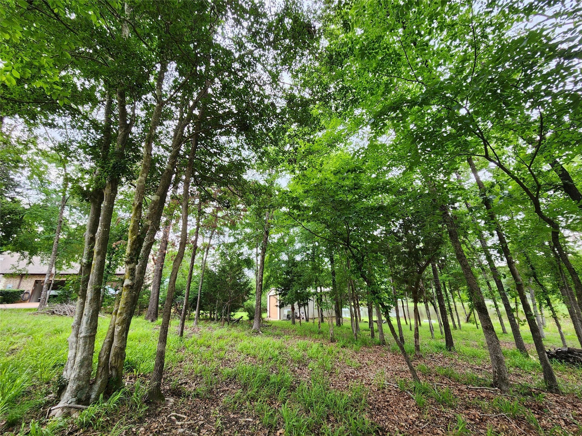 1.07 acres in Henderson County - photo 28