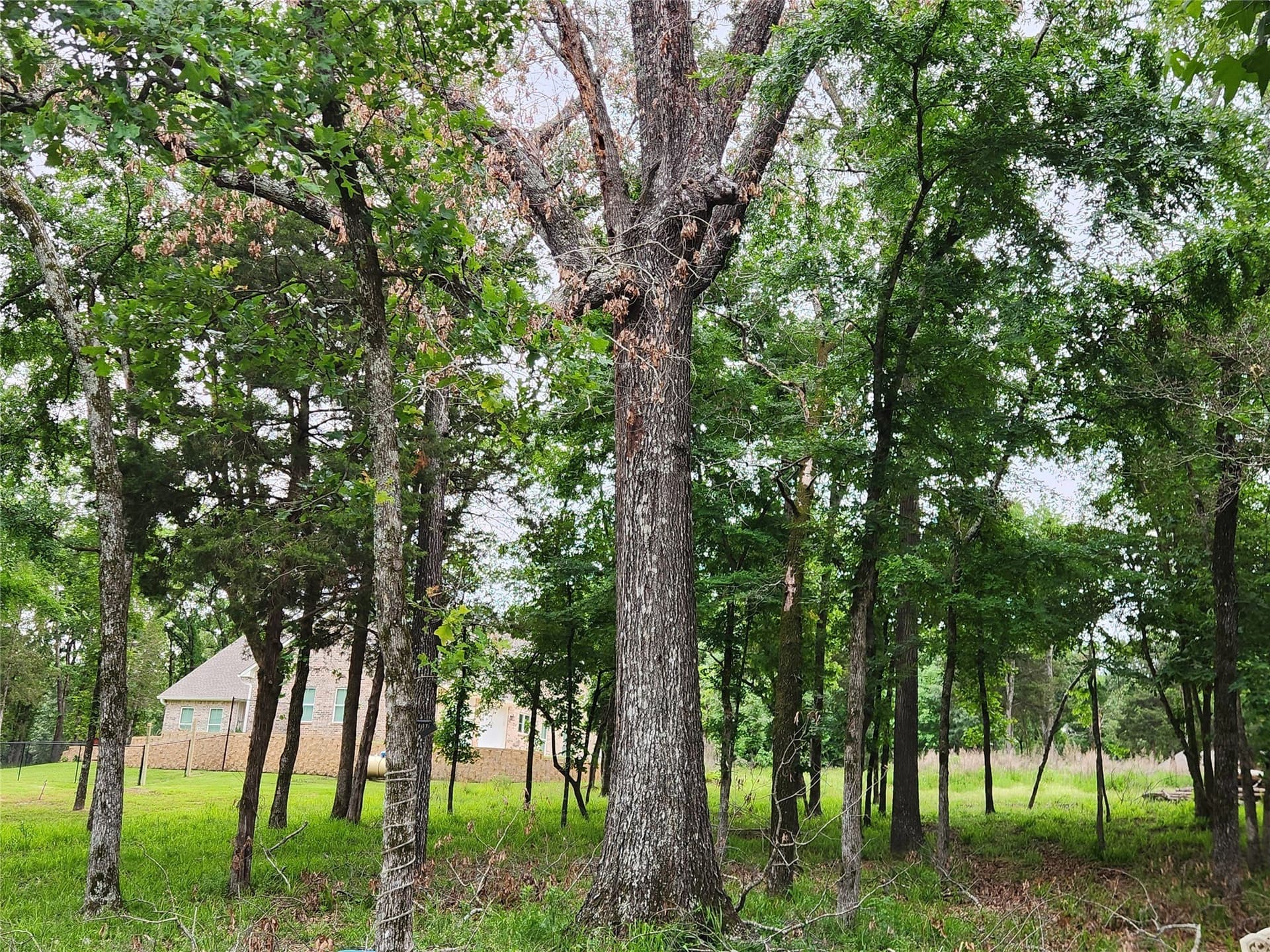 1.07 acres in Henderson County - photo 39