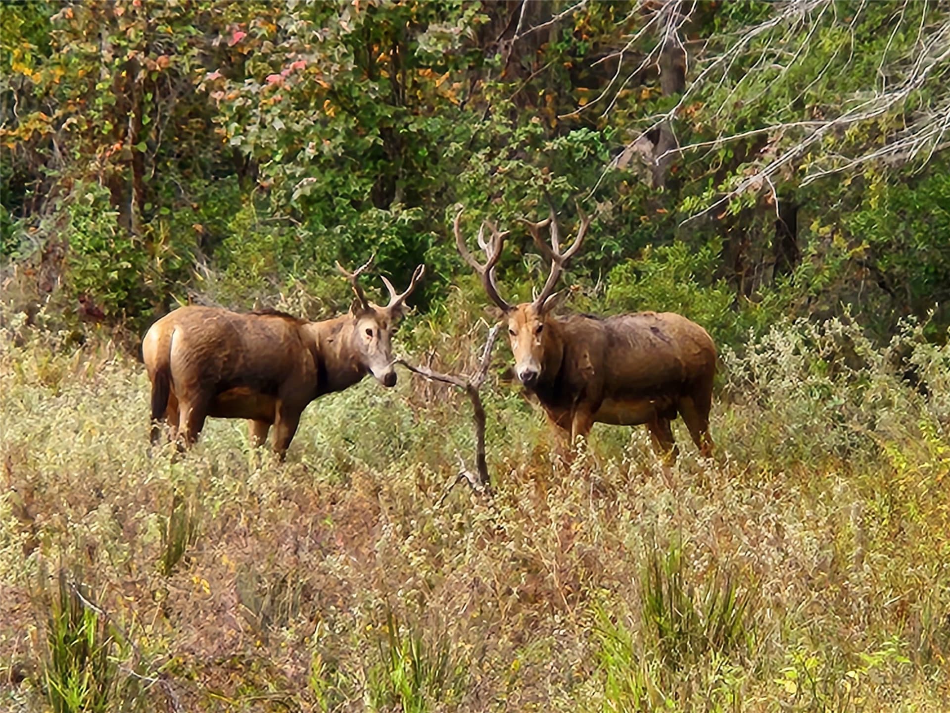 1.07 acres in Henderson County - photo 36