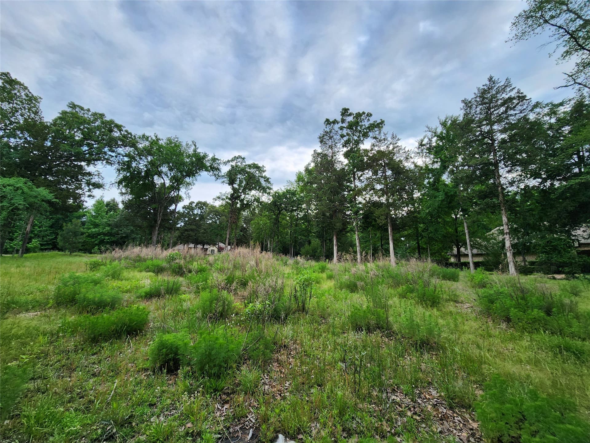 1.07 acres in Henderson County - photo 16