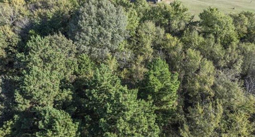 2.11 acres in Smith County - photo 15