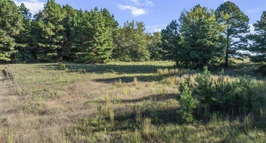 2.11 acres in Smith County - photo 7