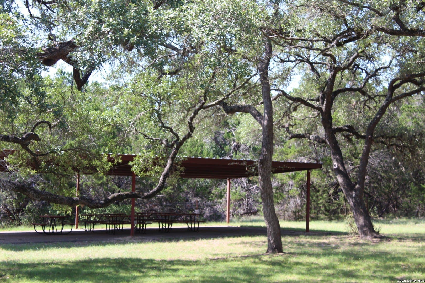 0.25 acres in Comal County gallery image 3