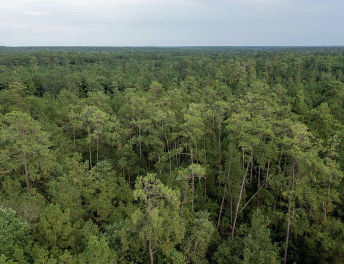1 acres in Walker County - photo 7