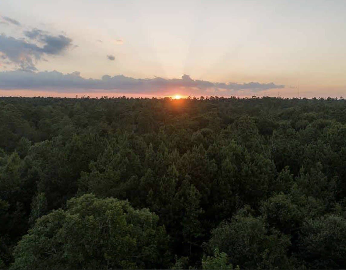 1 acres in Walker County - photo 5