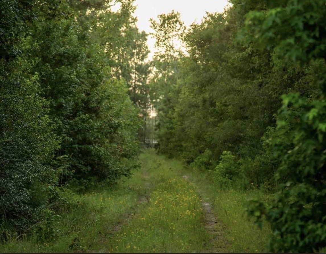 1 acres in Walker County - photo 6