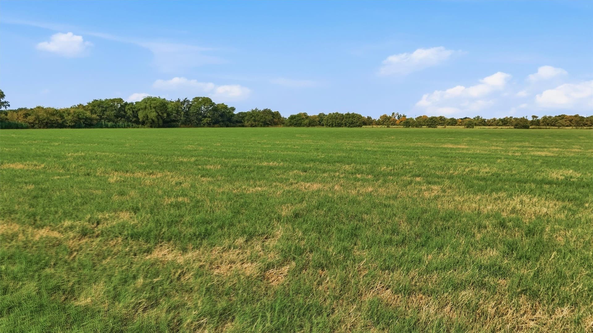 51.8 acres in Grayson County - photo 10