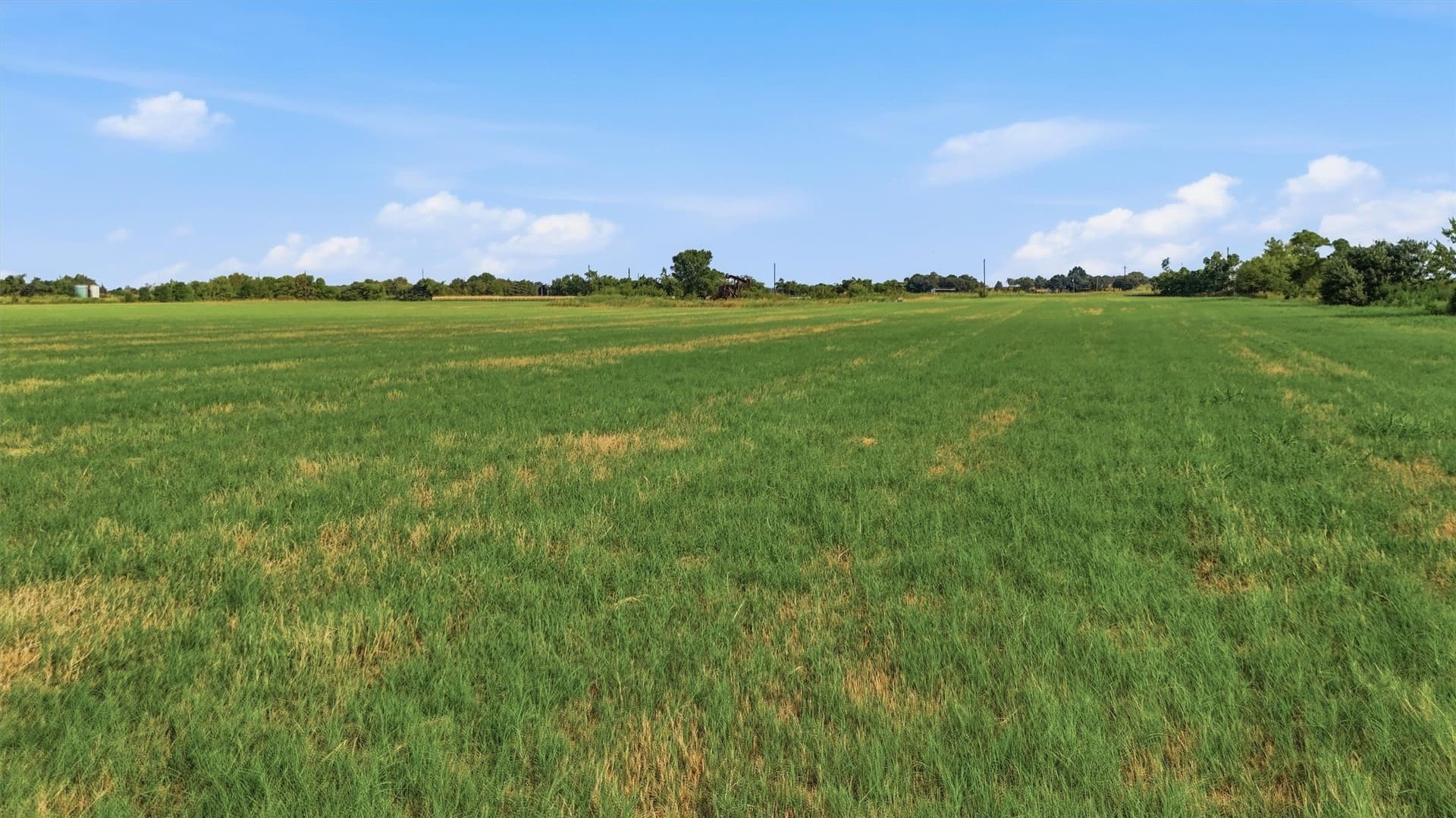 51.8 acres in Grayson County - photo 11
