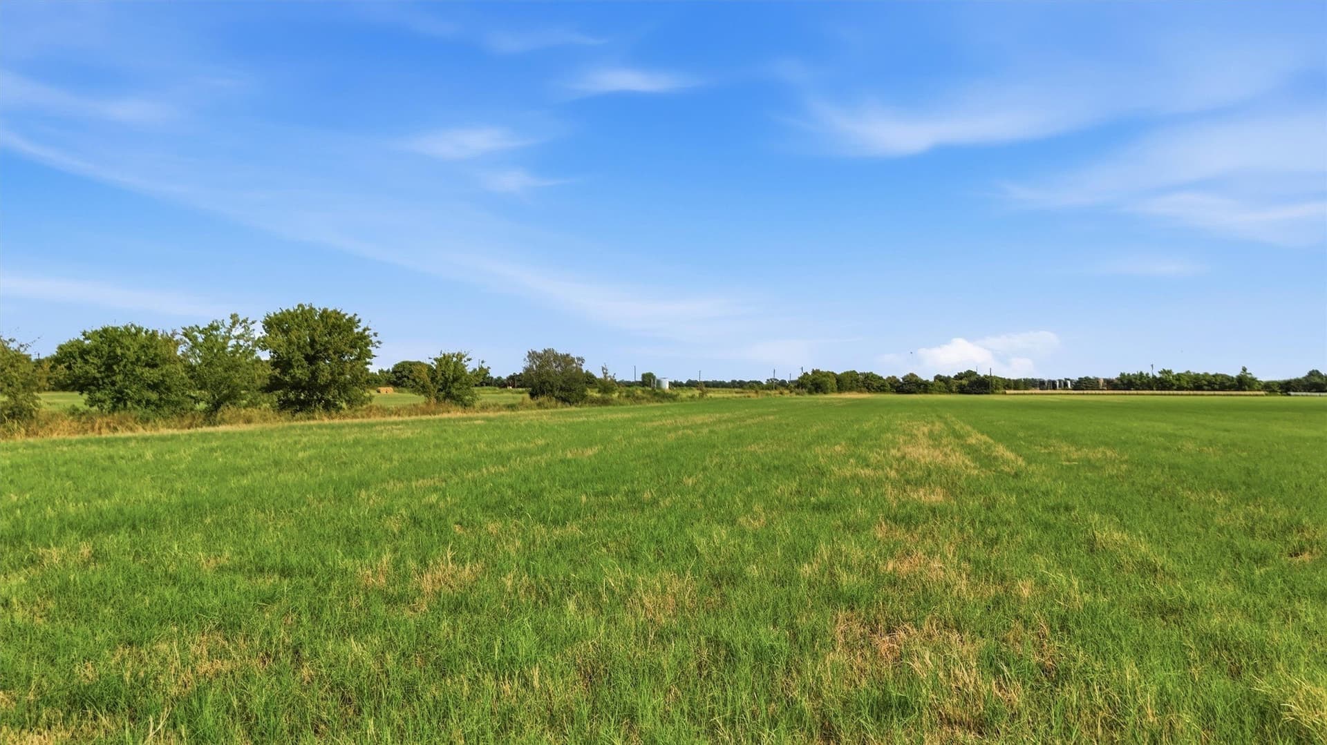 51.8 acres in Grayson County - photo 14