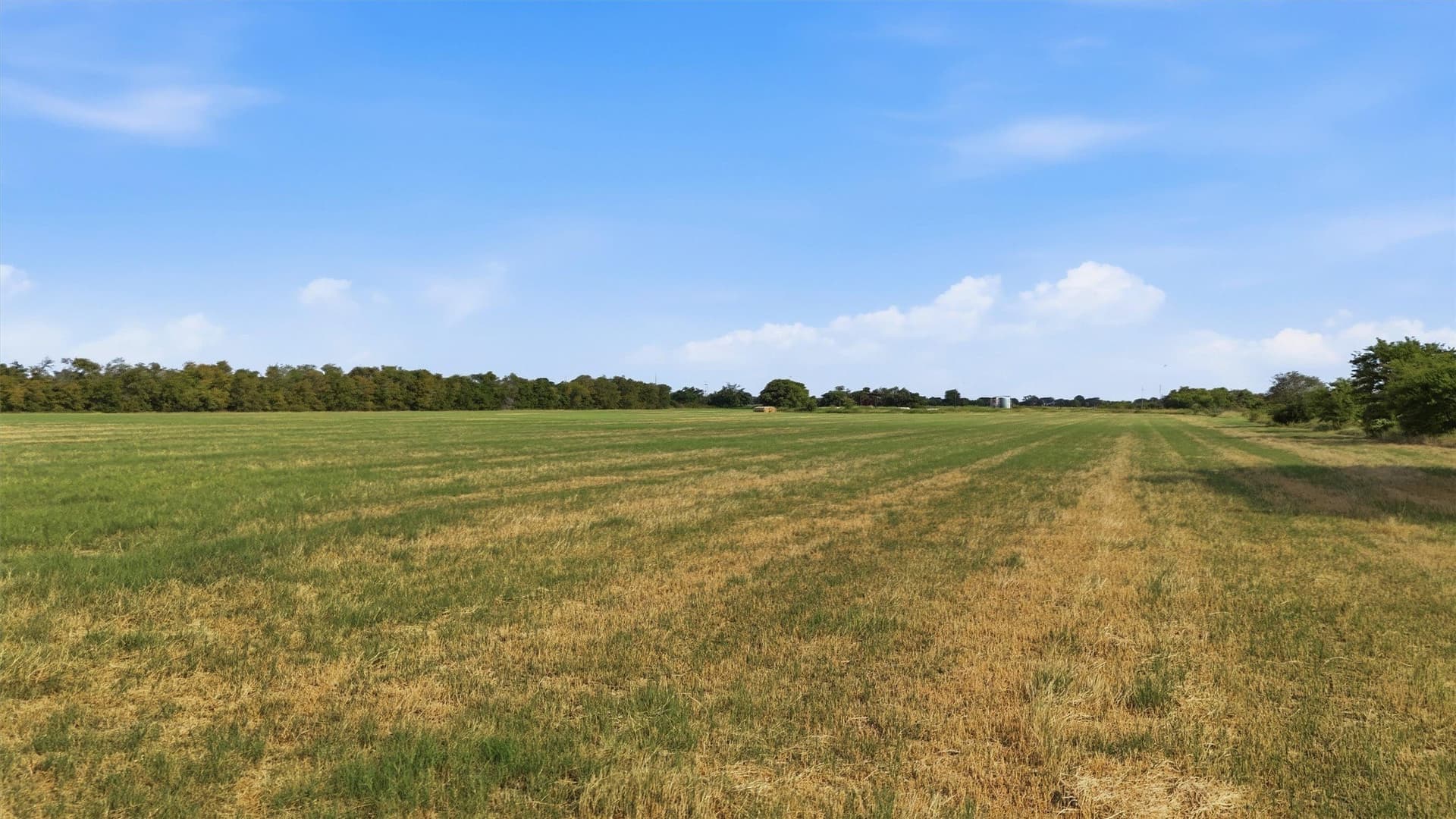 51.8 acres in Grayson County - photo 17