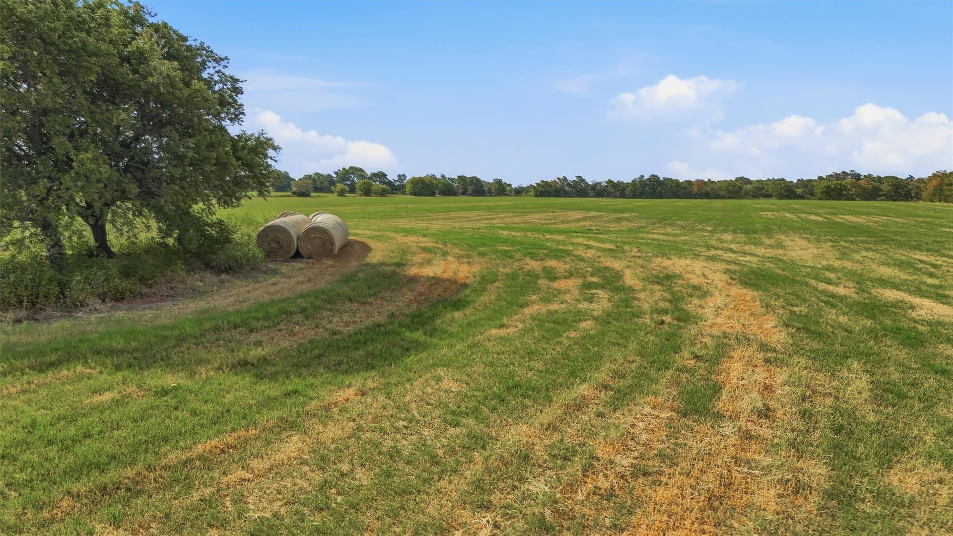 51.8 acres in Grayson County - photo 23