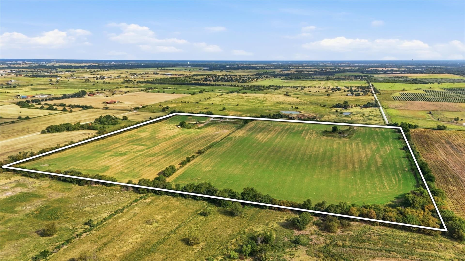 51.8 acres in Grayson County - photo 3