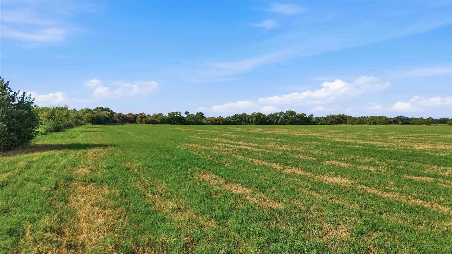51.8 acres in Grayson County - photo 7