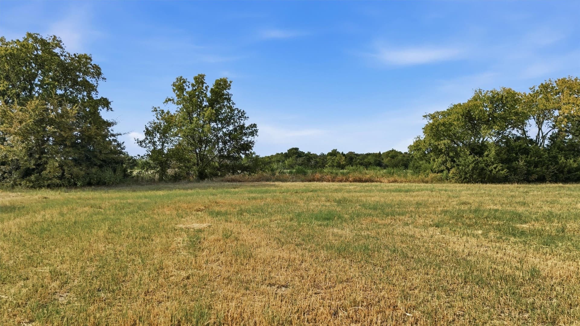 51.8 acres in Grayson County - photo 15