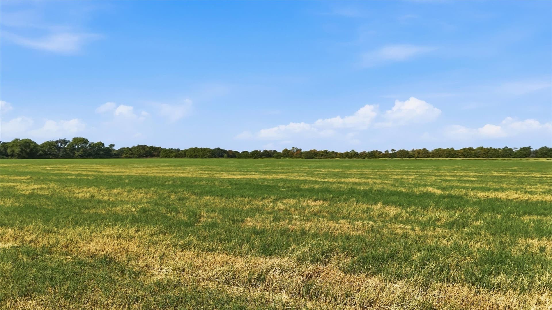 51.8 acres in Grayson County - photo 8