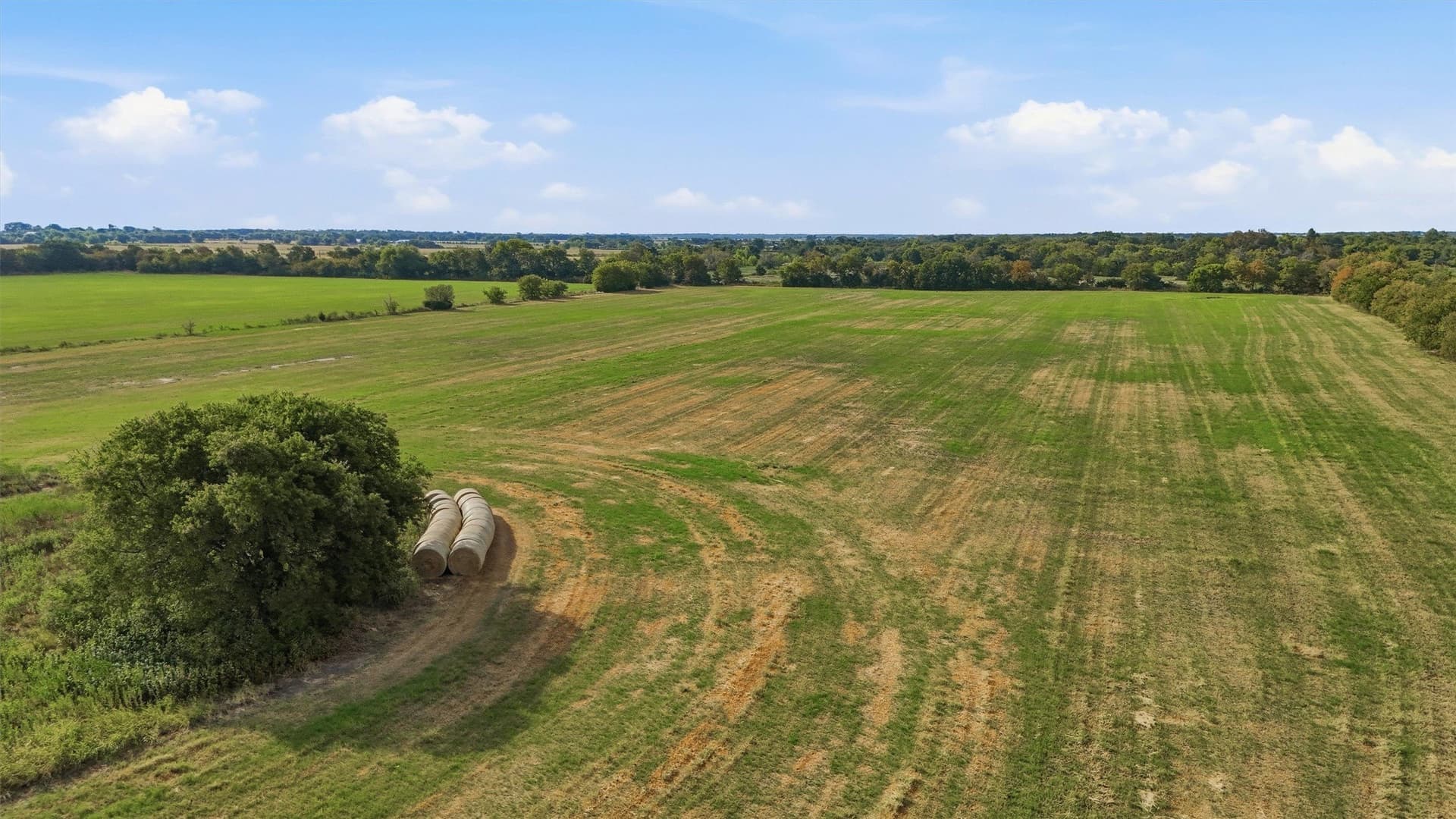 51.8 acres in Grayson County - photo 24