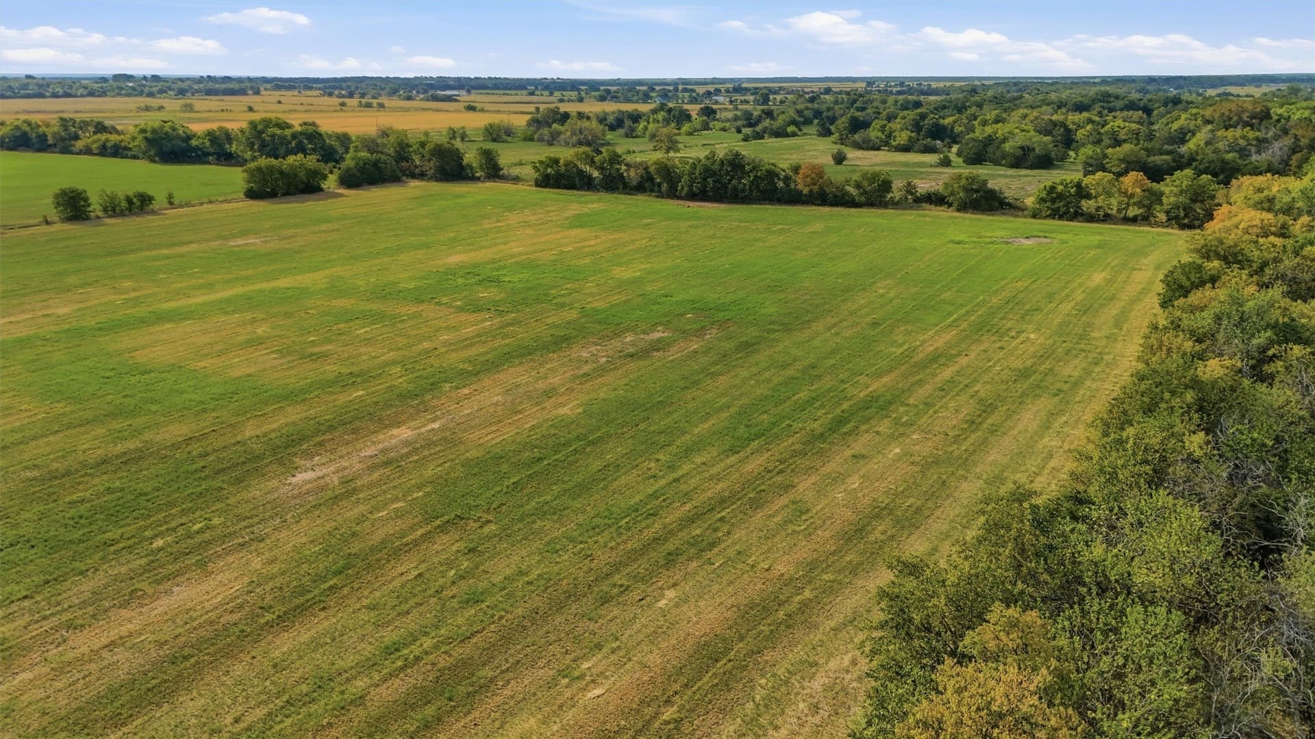 51.8 acres in Grayson County - photo 20