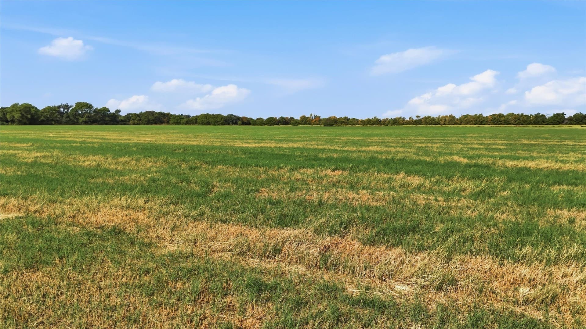 51.8 acres in Grayson County - photo 9