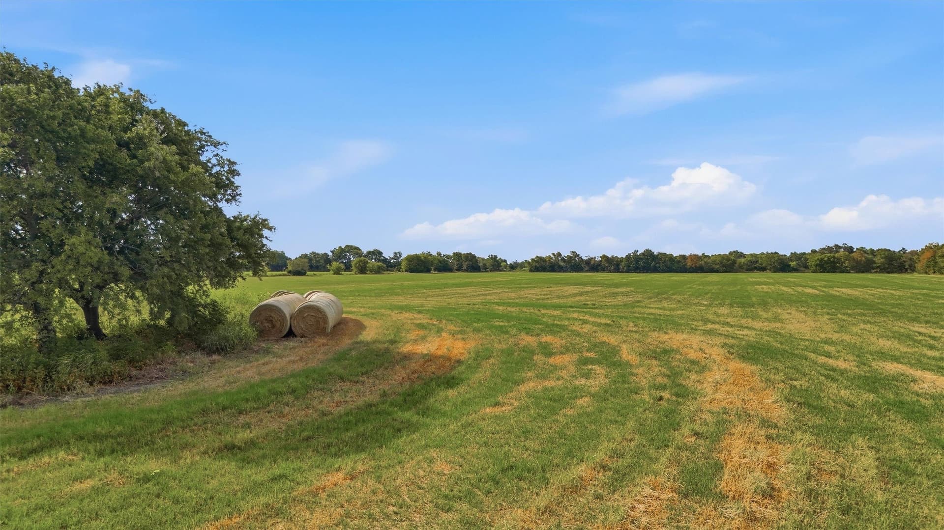 51.8 acres in Grayson County - photo 22