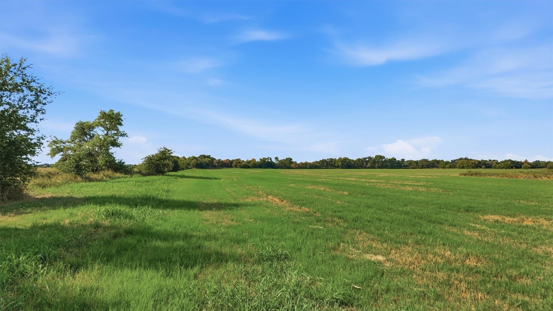 51.8 acres in Grayson County - photo 5