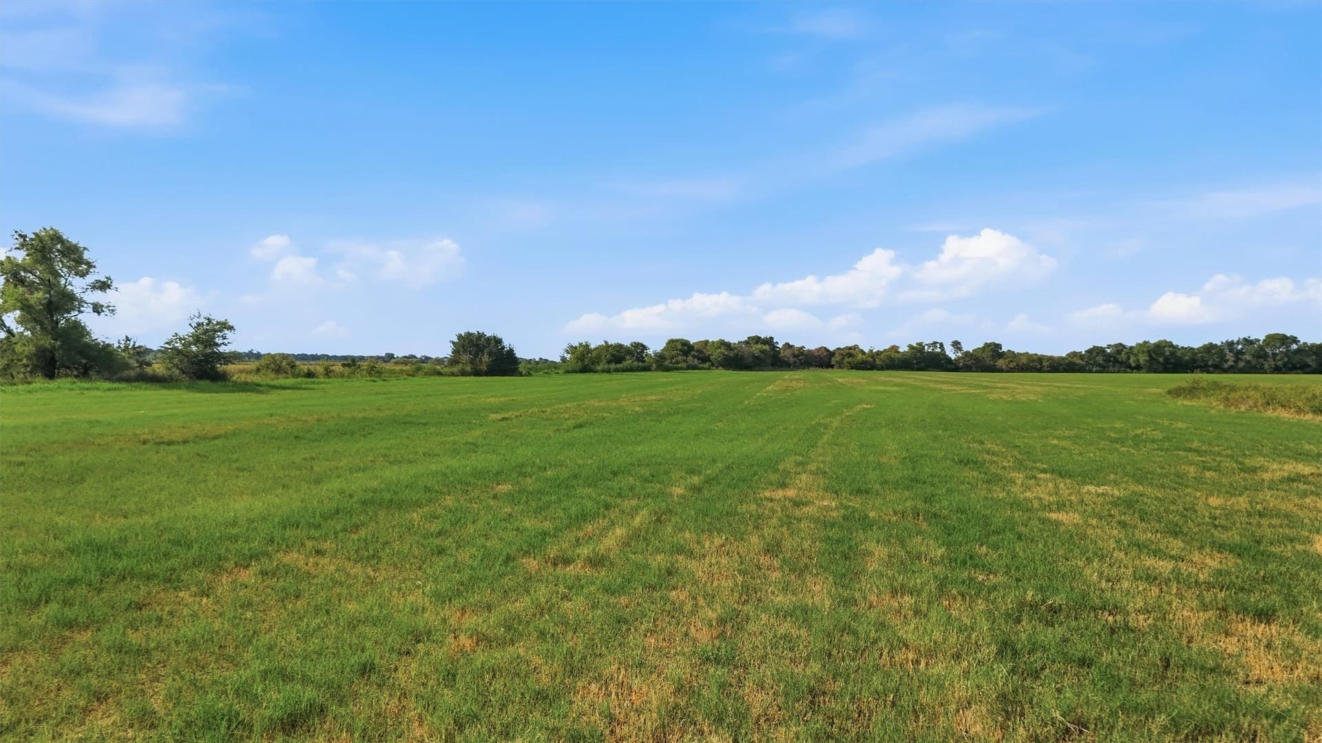 51.8 acres in Grayson County - photo 6