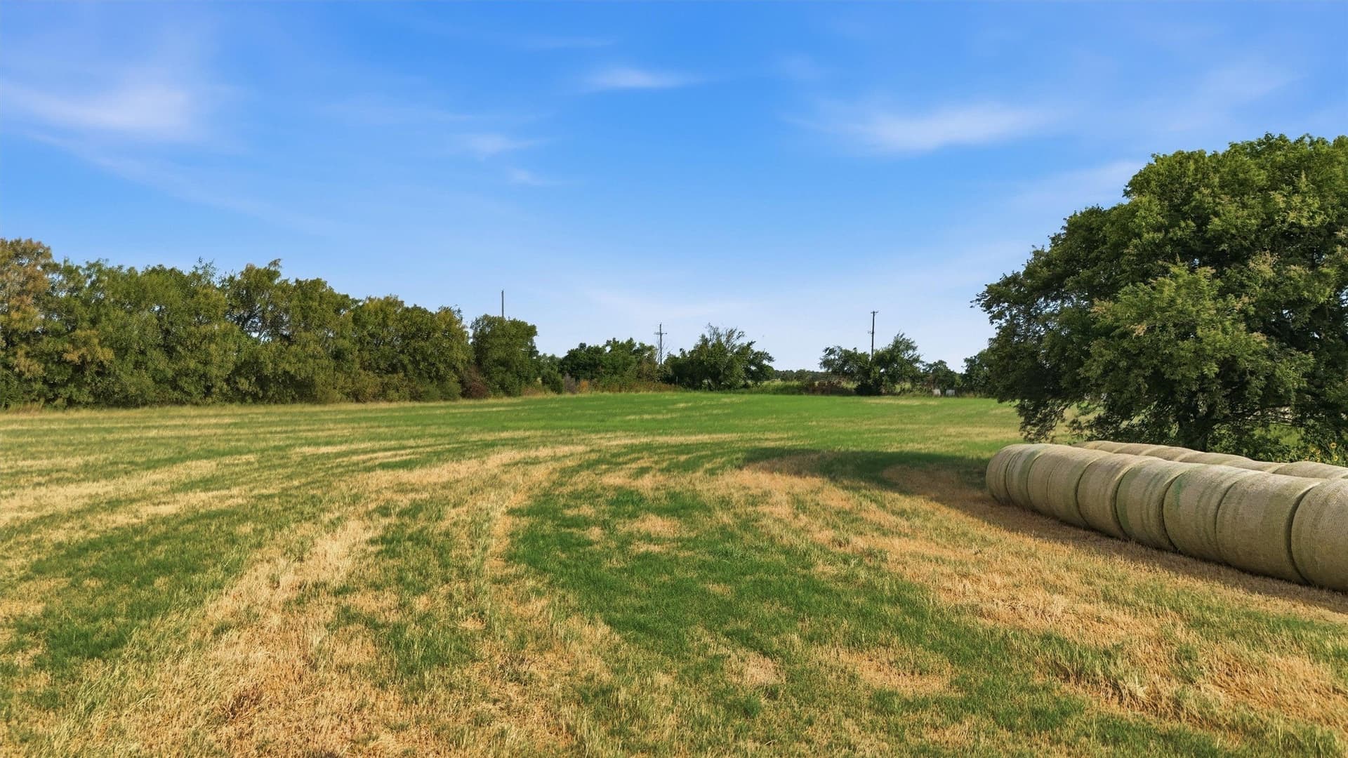51.8 acres in Grayson County - photo 21