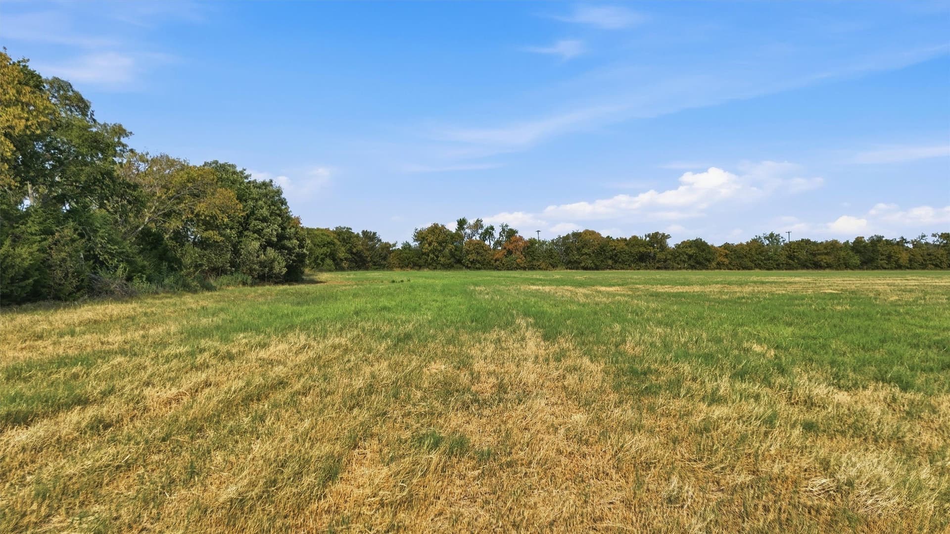 51.8 acres in Grayson County - photo 16