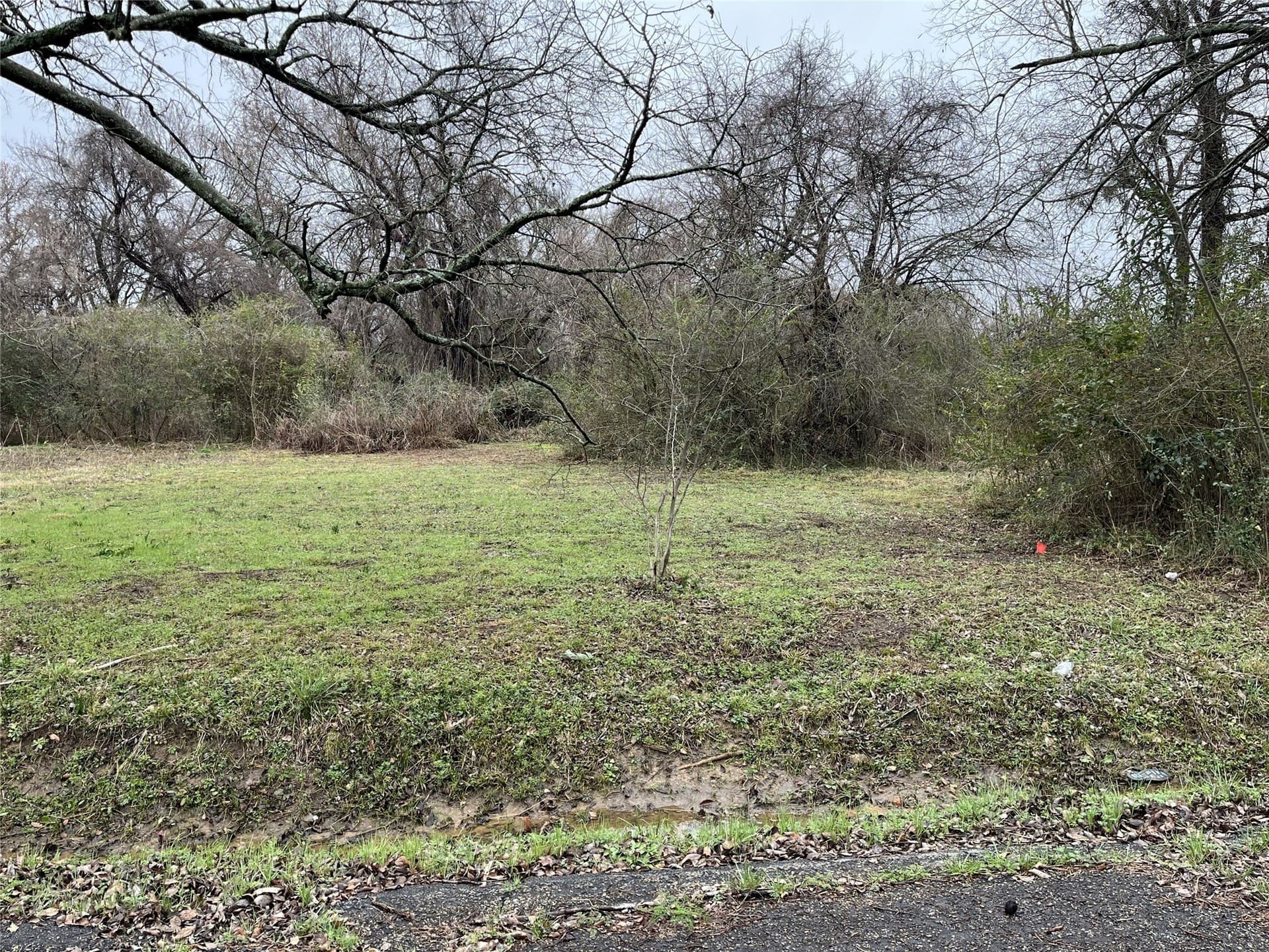 0.11 acres in Lamar County - photo 3