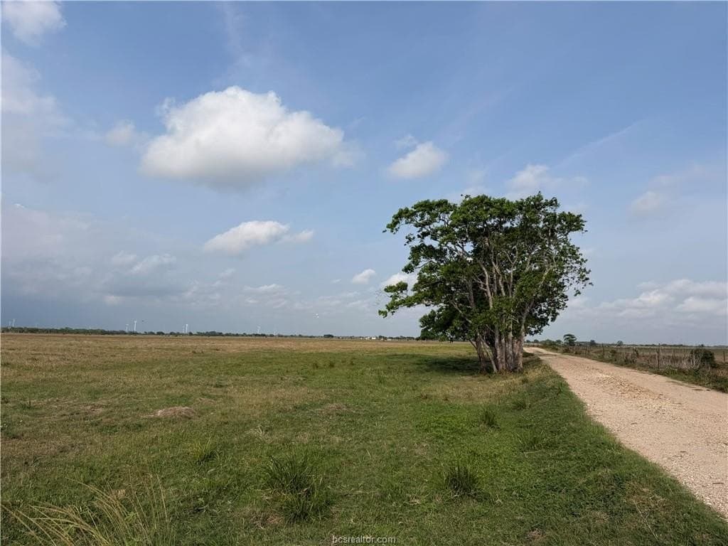 137 acres in Texas County gallery image 3