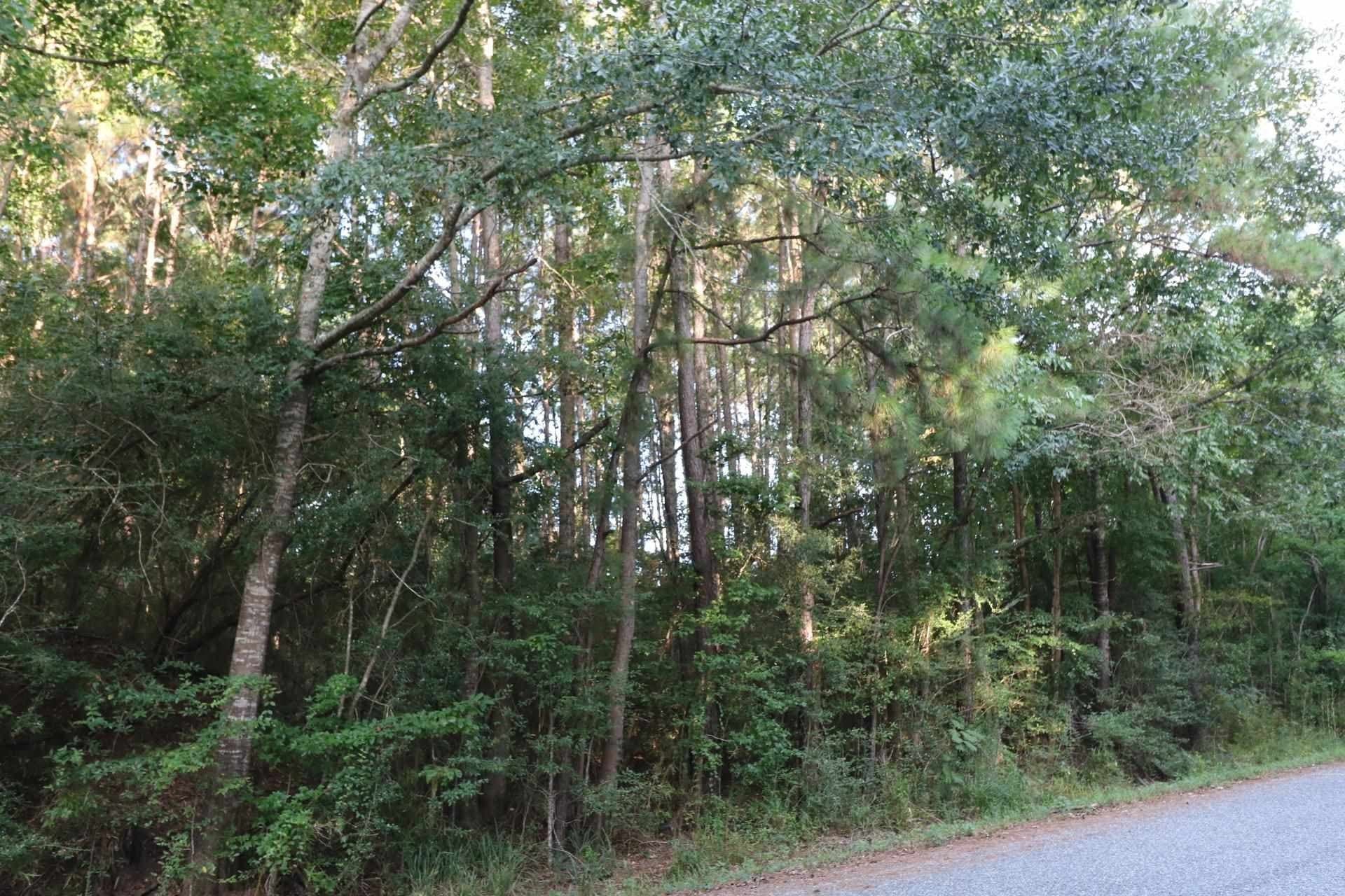 5.45 acres in Texas County - photo 2