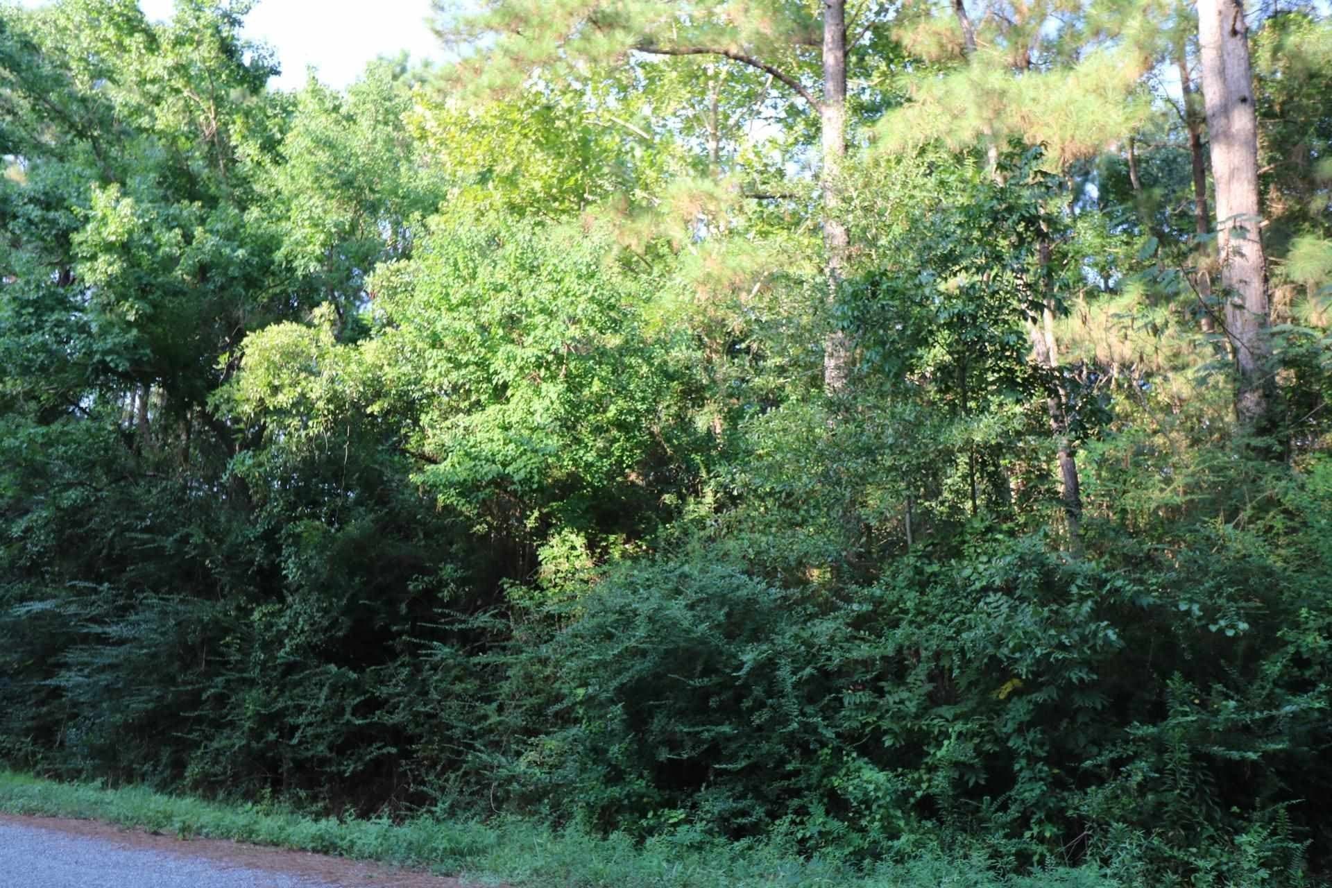 5.45 acres in Texas County - photo 5