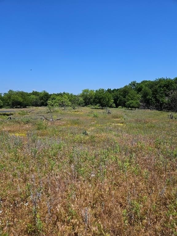11.94 acres in Eastland County gallery image 4