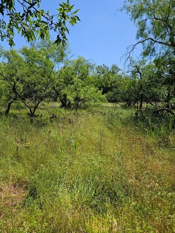 11.94 acres in Eastland County featured view