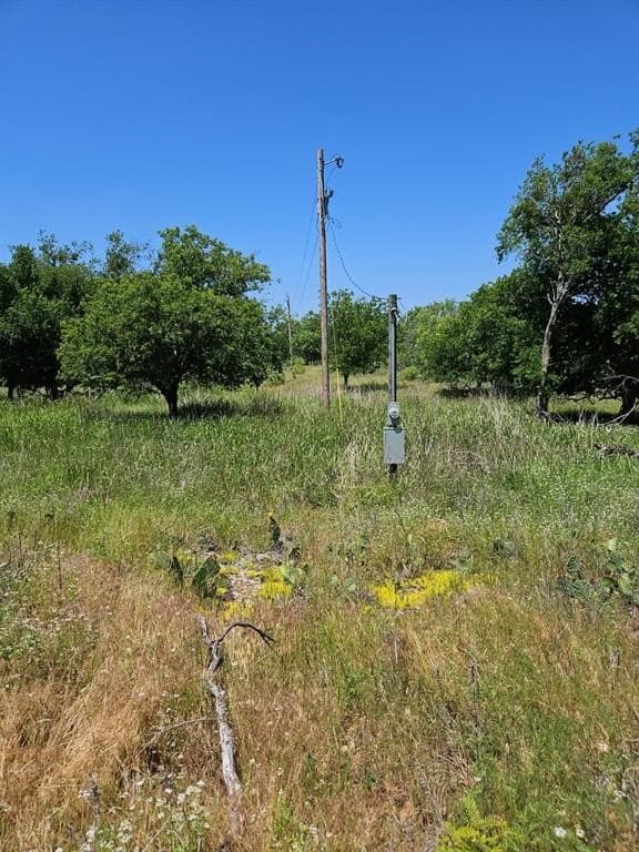 11.94 acres in Eastland County gallery image 2