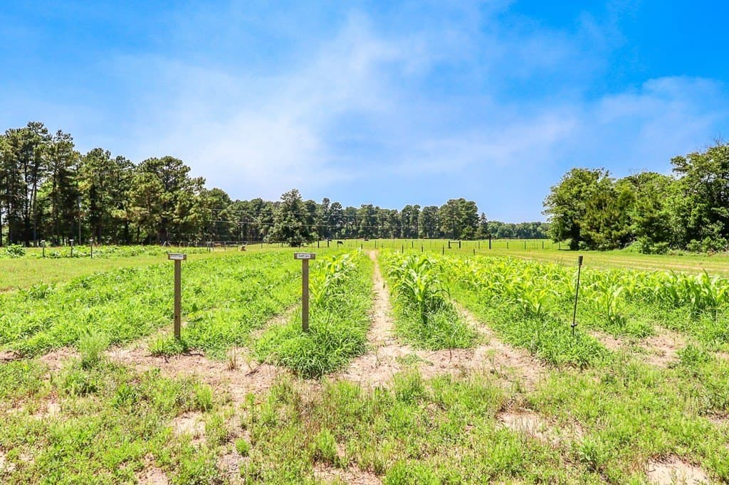 10.86 acres in Texas County - photo 54