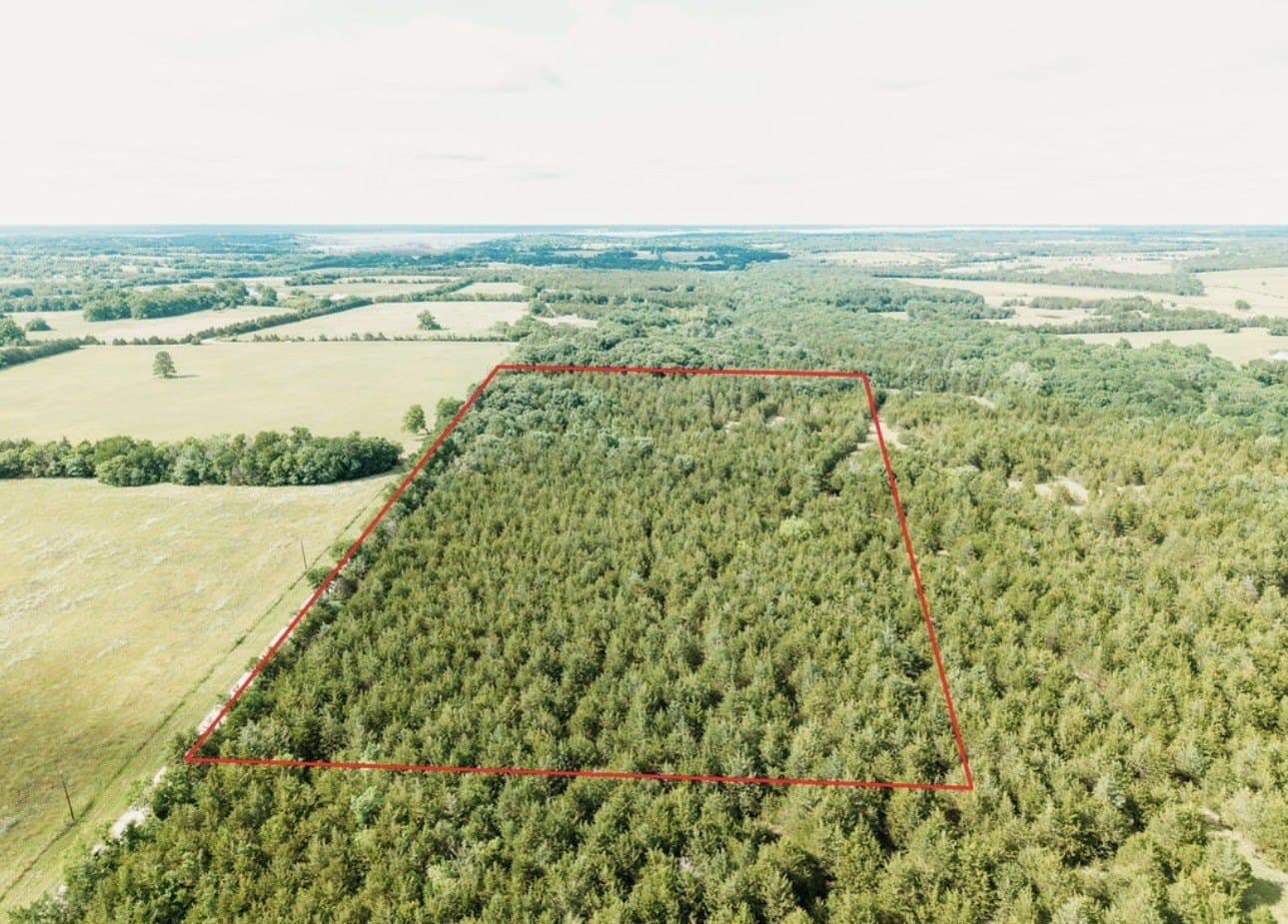 10 acres in Fannin County gallery image 2