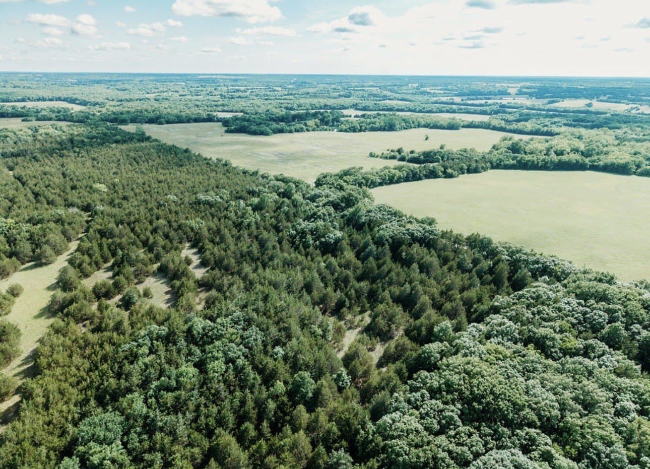10 acres in Fannin County - photo 23