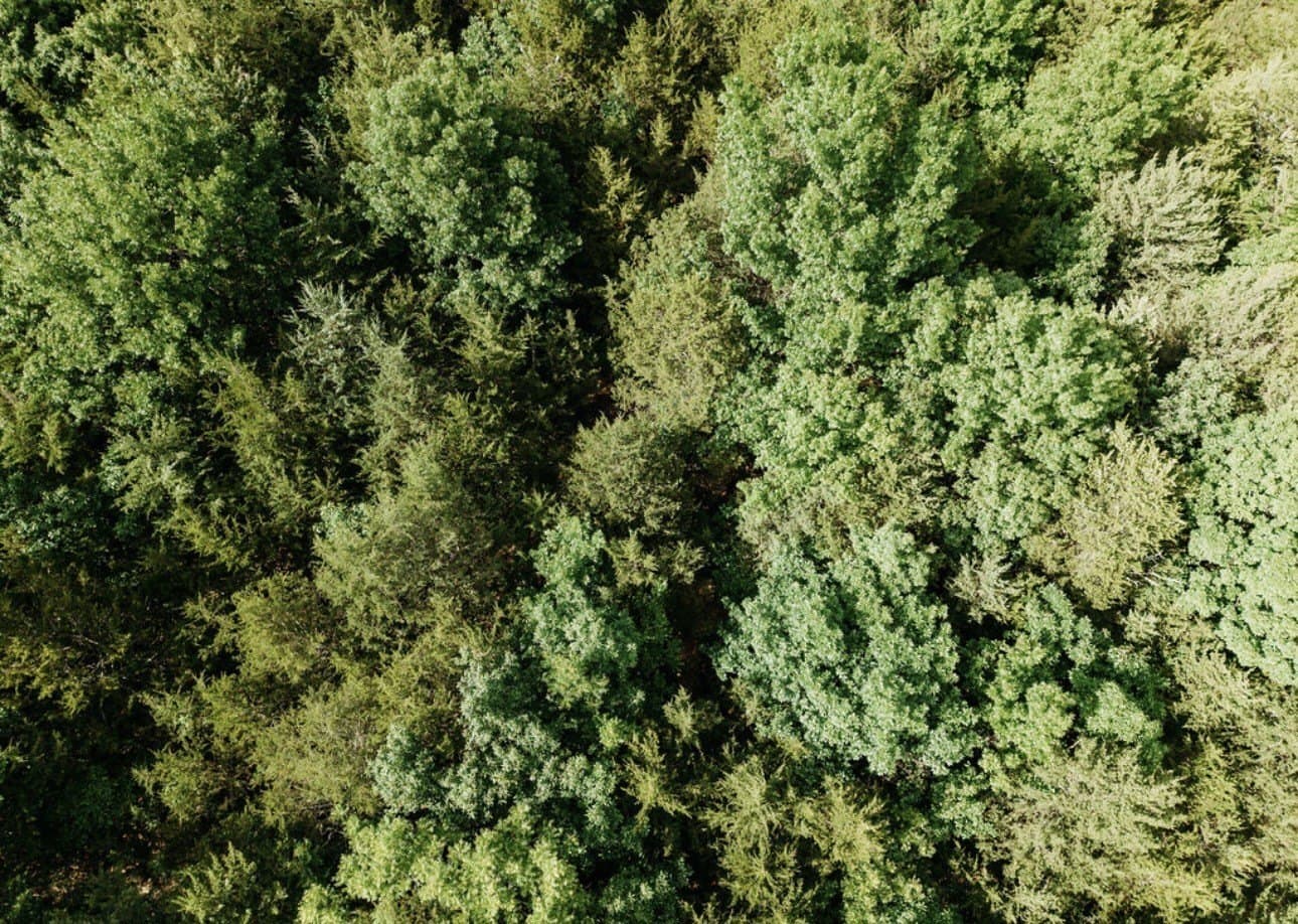 10 acres in Fannin County - photo 12