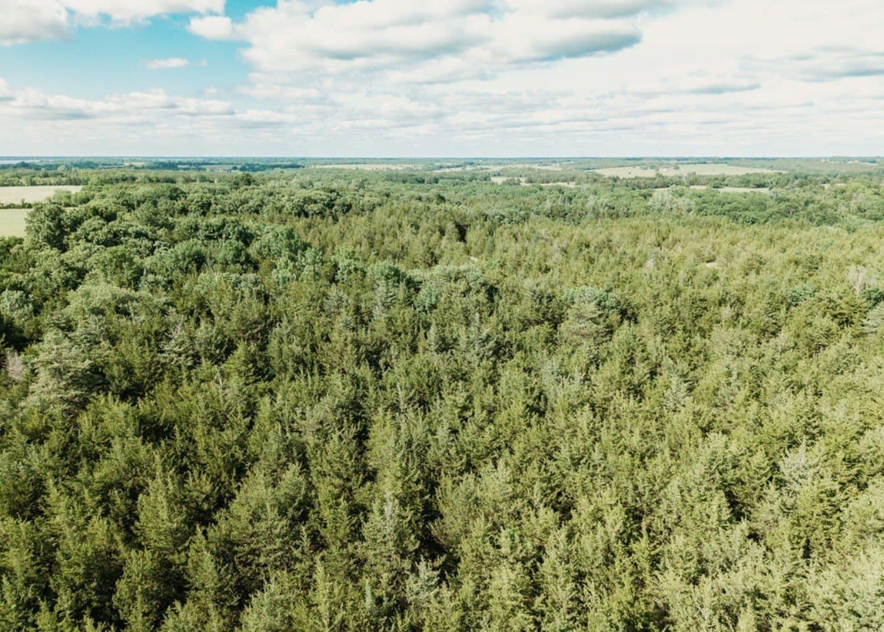 10 acres in Fannin County - photo 13