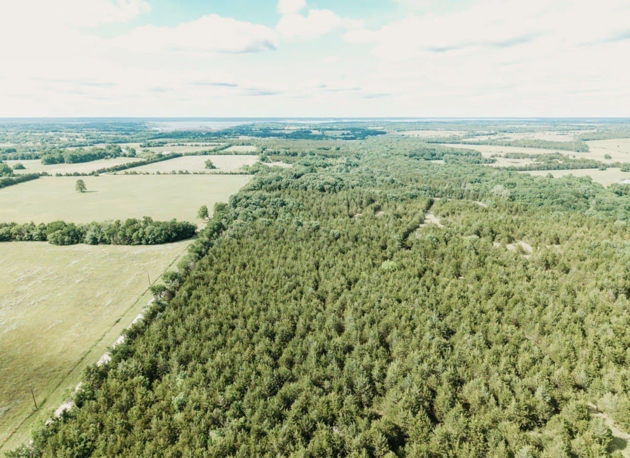 10 acres in Fannin County - photo 15