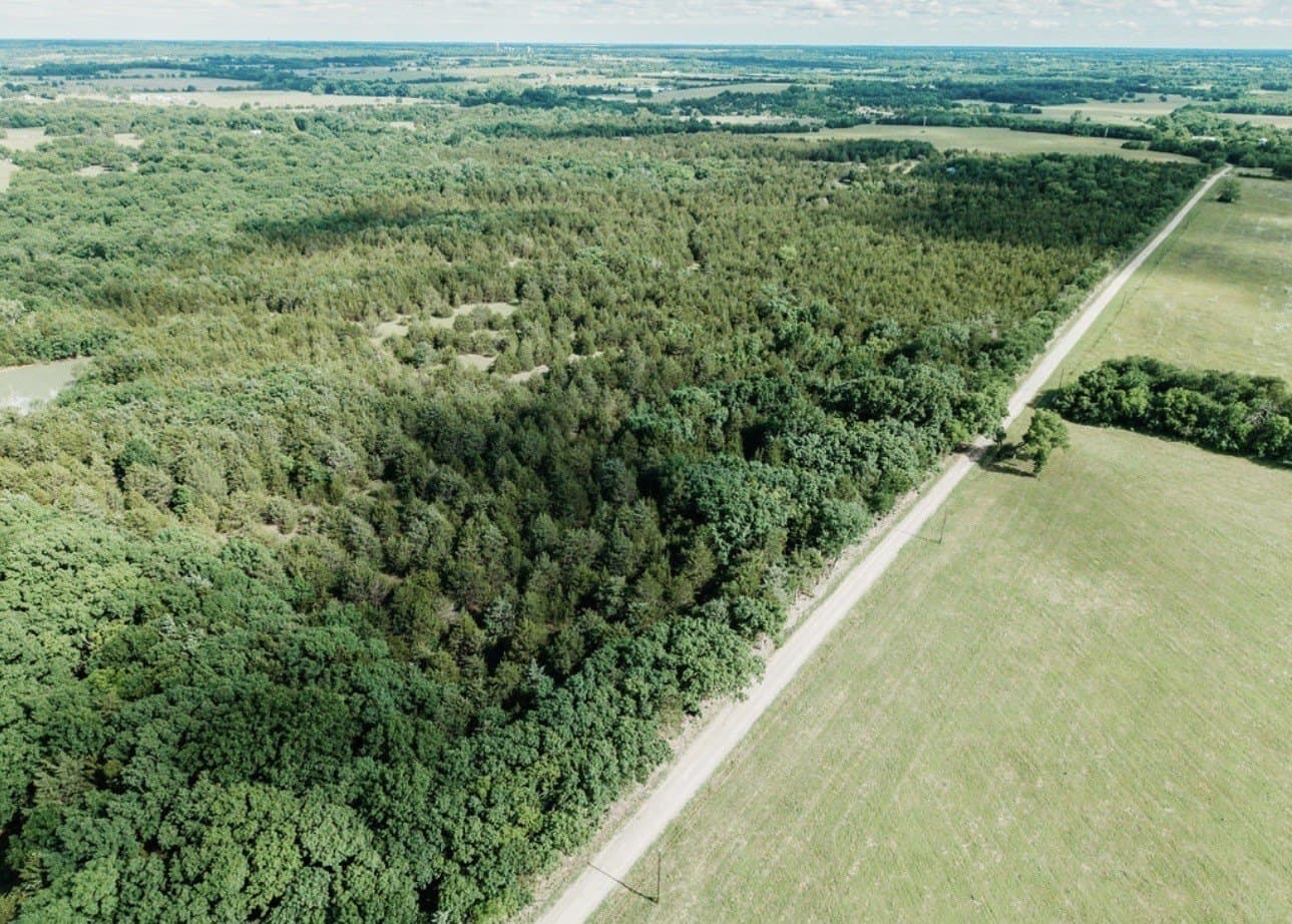 10 acres in Fannin County - photo 24