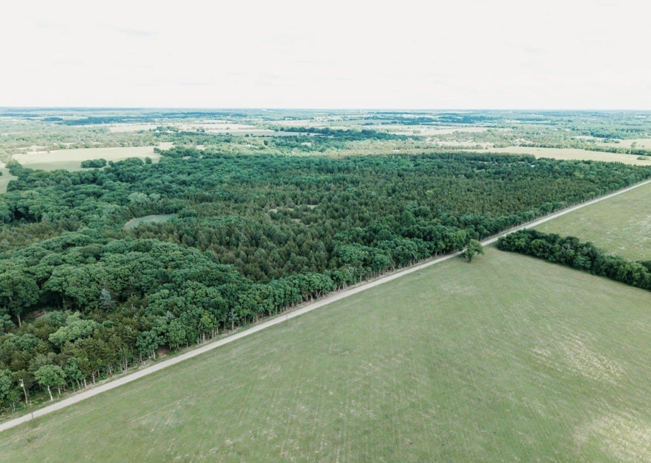 10 acres in Fannin County - photo 17