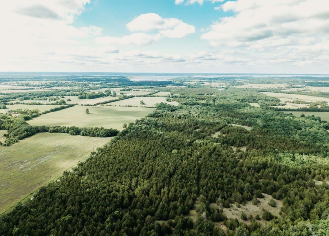 10 acres in Fannin County - photo 8