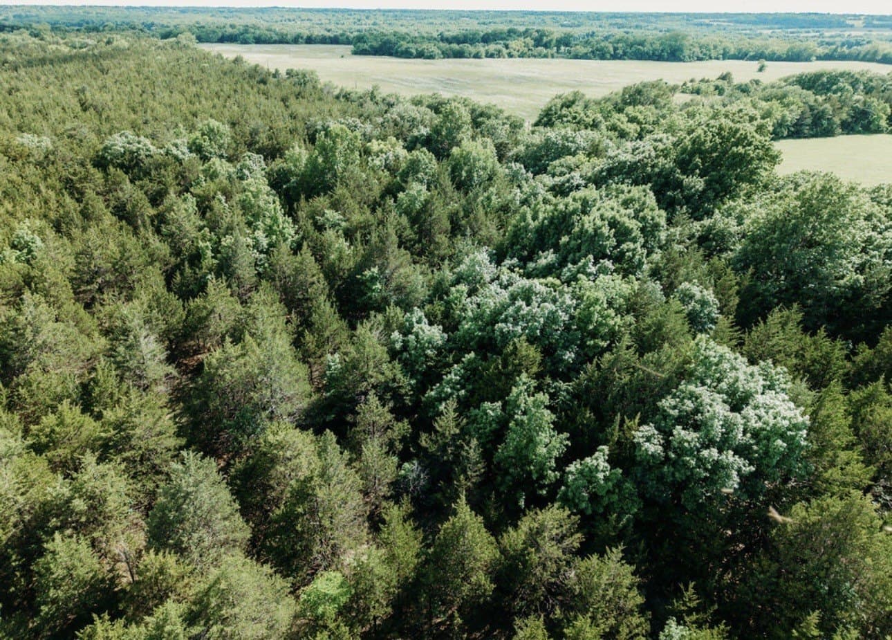 10 acres in Fannin County - photo 21