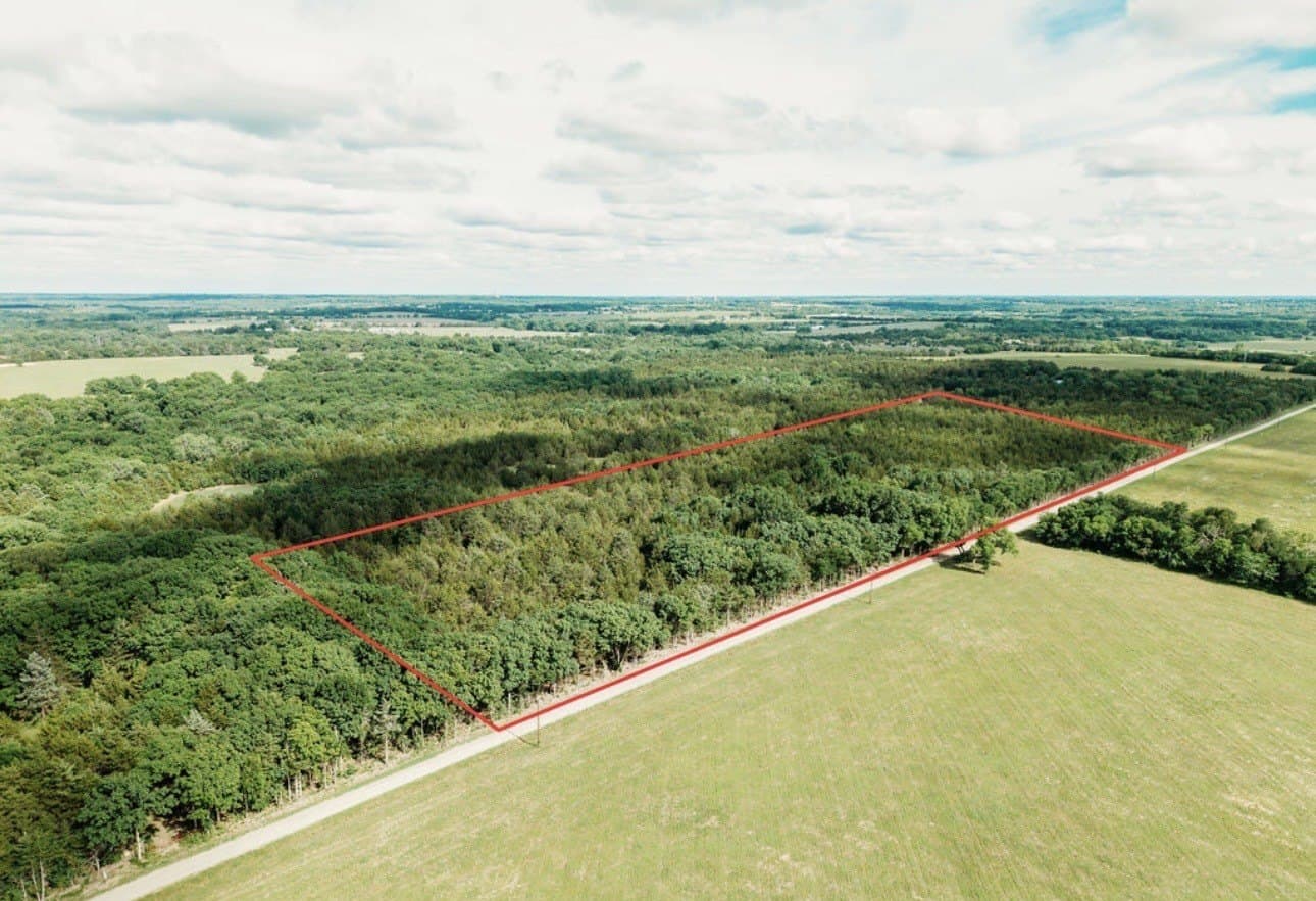 10 acres in Fannin County gallery image 4