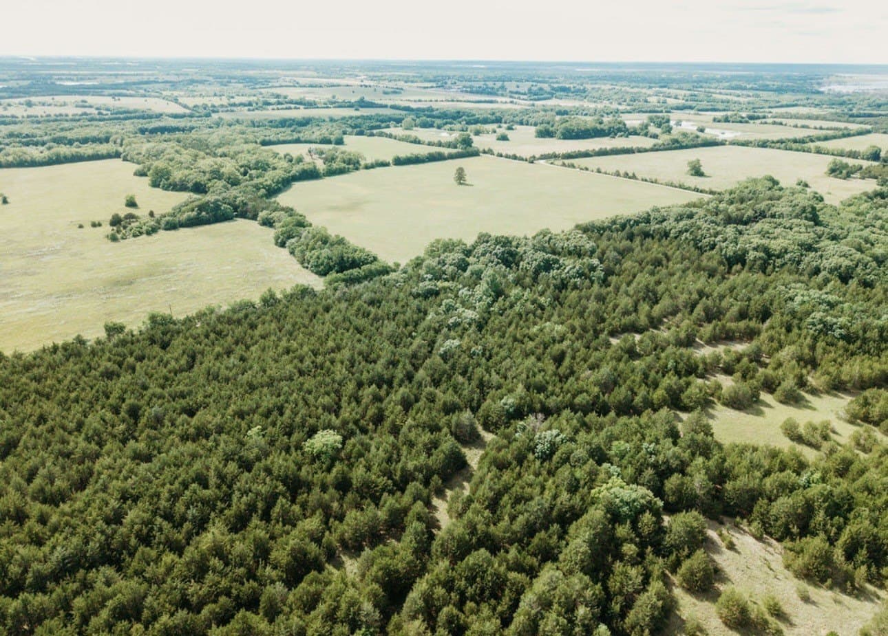 10 acres in Fannin County - photo 20