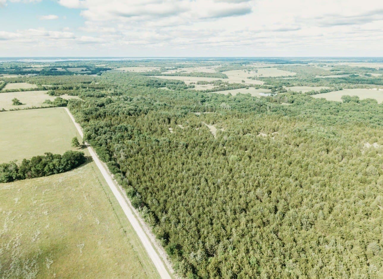 10 acres in Fannin County - photo 14